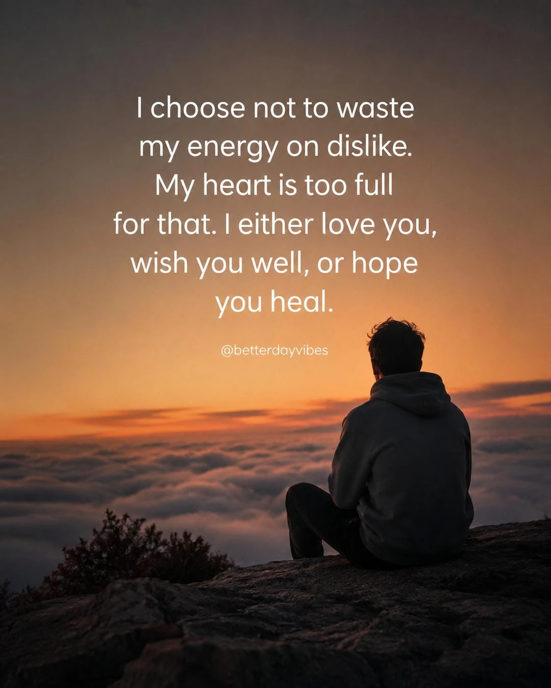 I Choose Not to Waste My Energy on Dislike