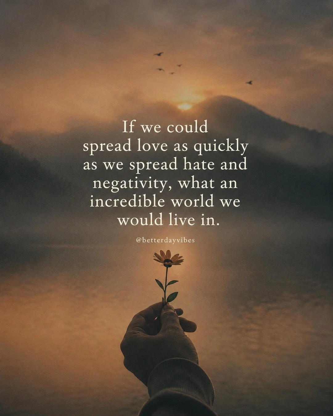 If We Could Spread Love as Quickly As
