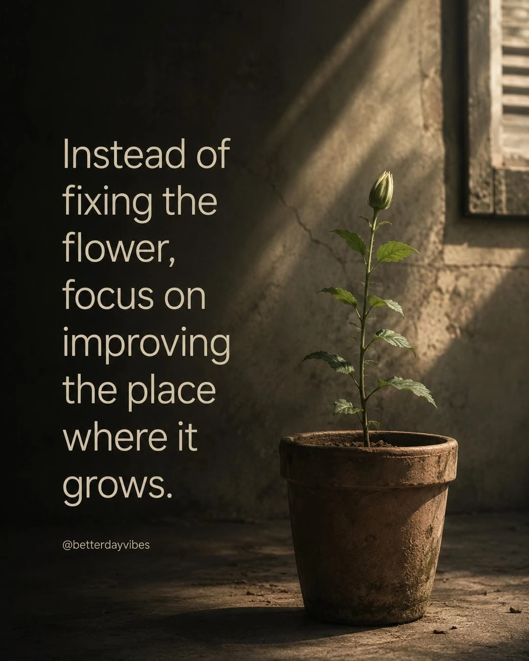 Instead of Fixing the Flower, Focus on Improving