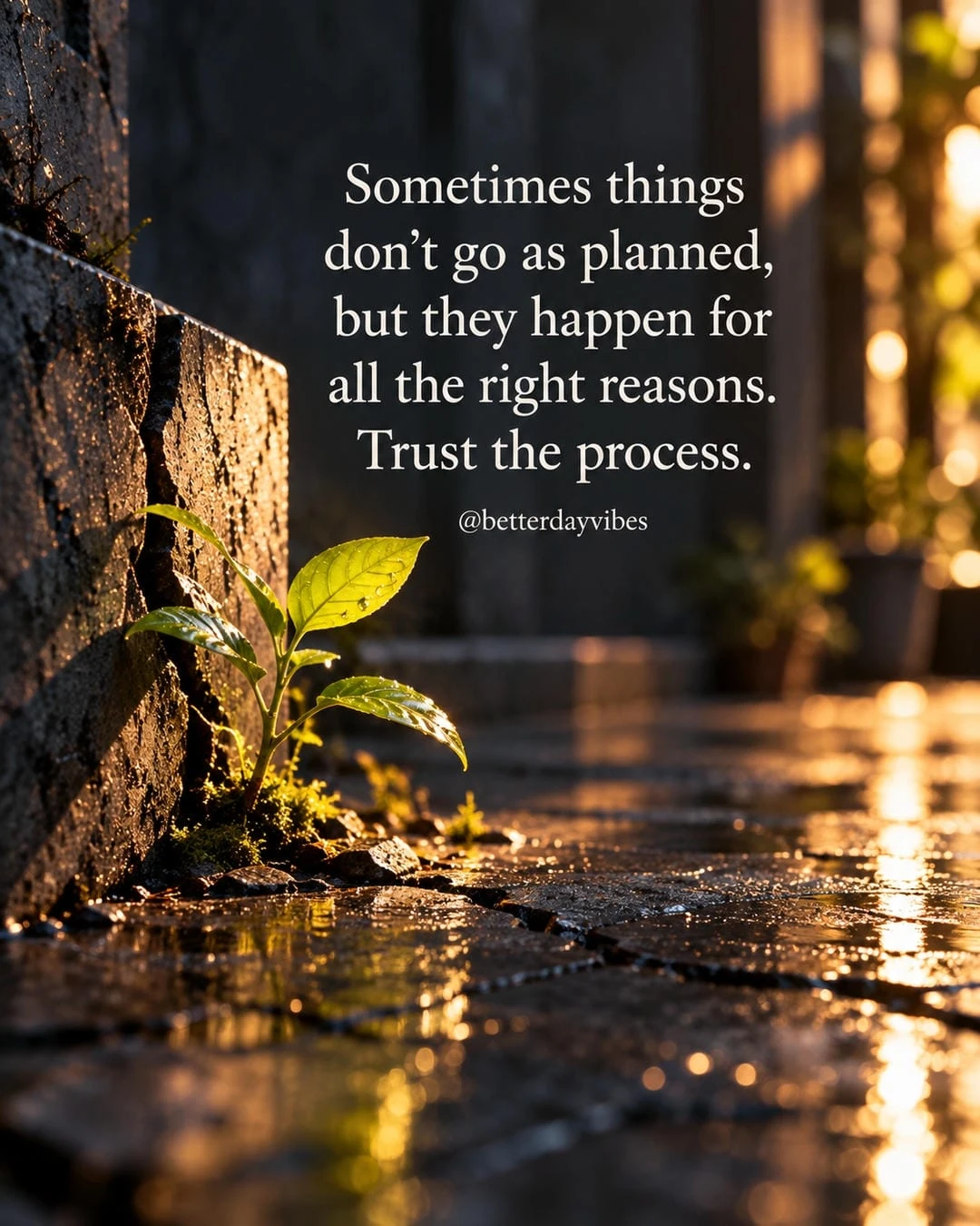 Sometimes Things Go Wrong for All the Right Reasons
