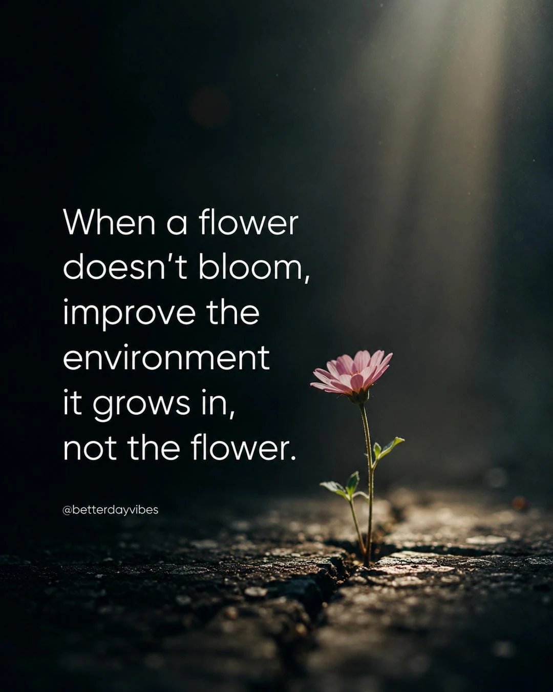 When a Flower Doesn't Bloom, Improve the Environment