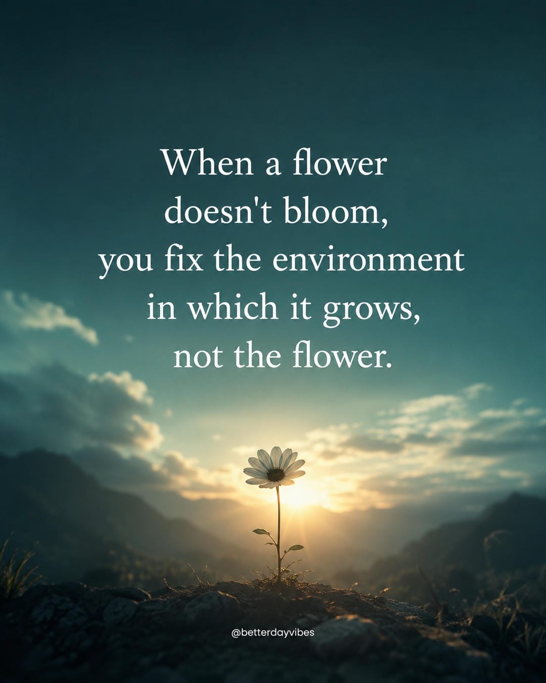 When a flower doesn't bloom, you fix the environment in which it grows, not the flower